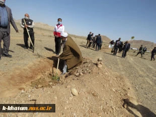 رئیس آموزشکده فنی کشاورزی امین خاتم از کاشت نهال در 50هکتار از عرصه های طبیعی شهرستان خاتم راستای  طرح "پویش ملی همکاشت"خبر داد