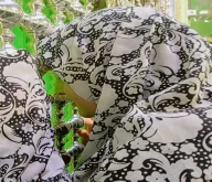 در راستای ارتقای نشاط معنوی و فرهنگی دانشجویان، ۳۰ نفر از دانشجویان آموزشکده ملی مهارت خاتم امین در قالب اردوی زیارتی-تفریحی به مشهد مقدس اعزام شدند 4